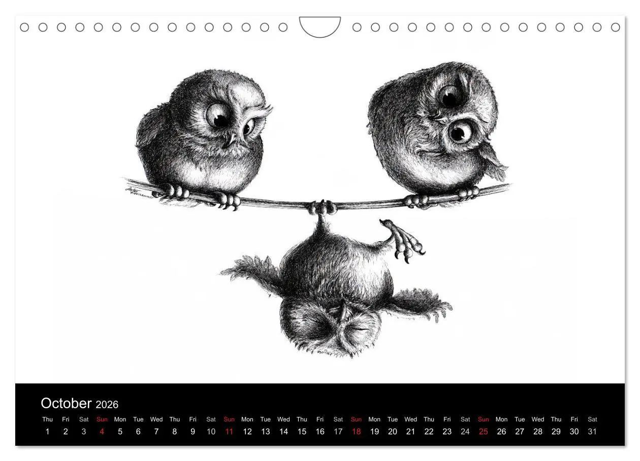 Bild: 9783516582086 | owls &amp; friends 2026 (Wall Calendar 2026 DIN A4 landscape), CALVENDO...