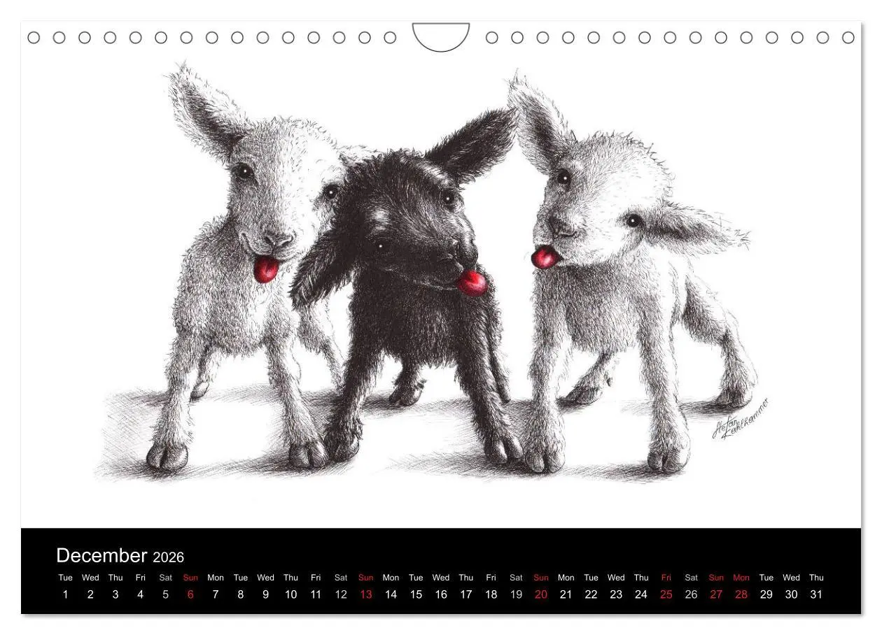 Bild: 9783516582086 | owls &amp; friends 2026 (Wall Calendar 2026 DIN A4 landscape), CALVENDO...