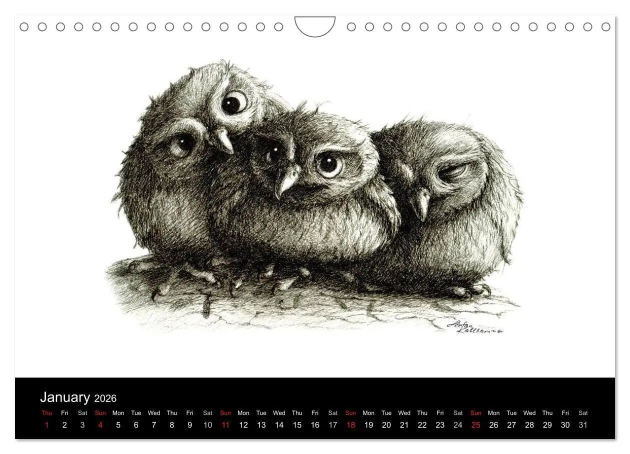Bild: 9783516582086 | owls &amp; friends 2026 (Wall Calendar 2026 DIN A4 landscape), CALVENDO...