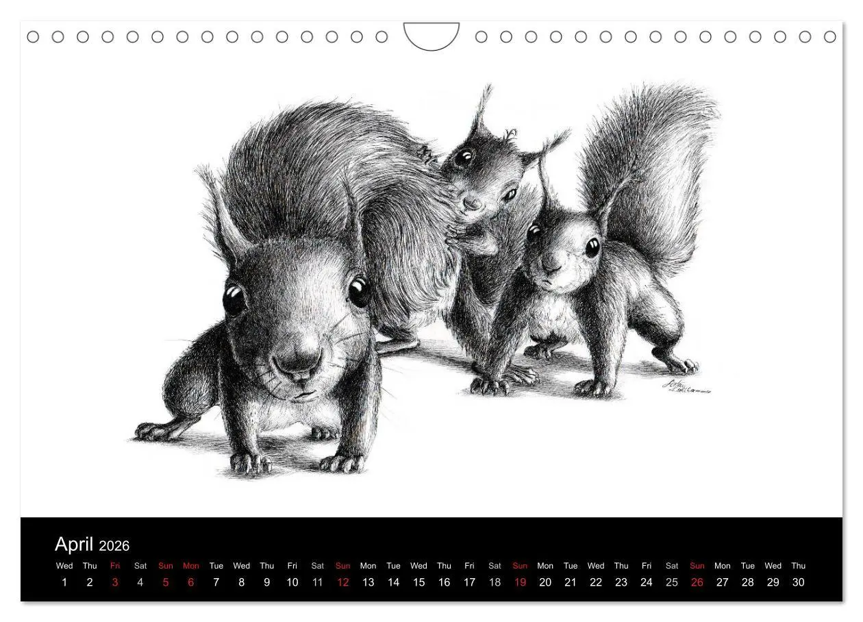 Bild: 9783516582086 | owls &amp; friends 2026 (Wall Calendar 2026 DIN A4 landscape), CALVENDO...