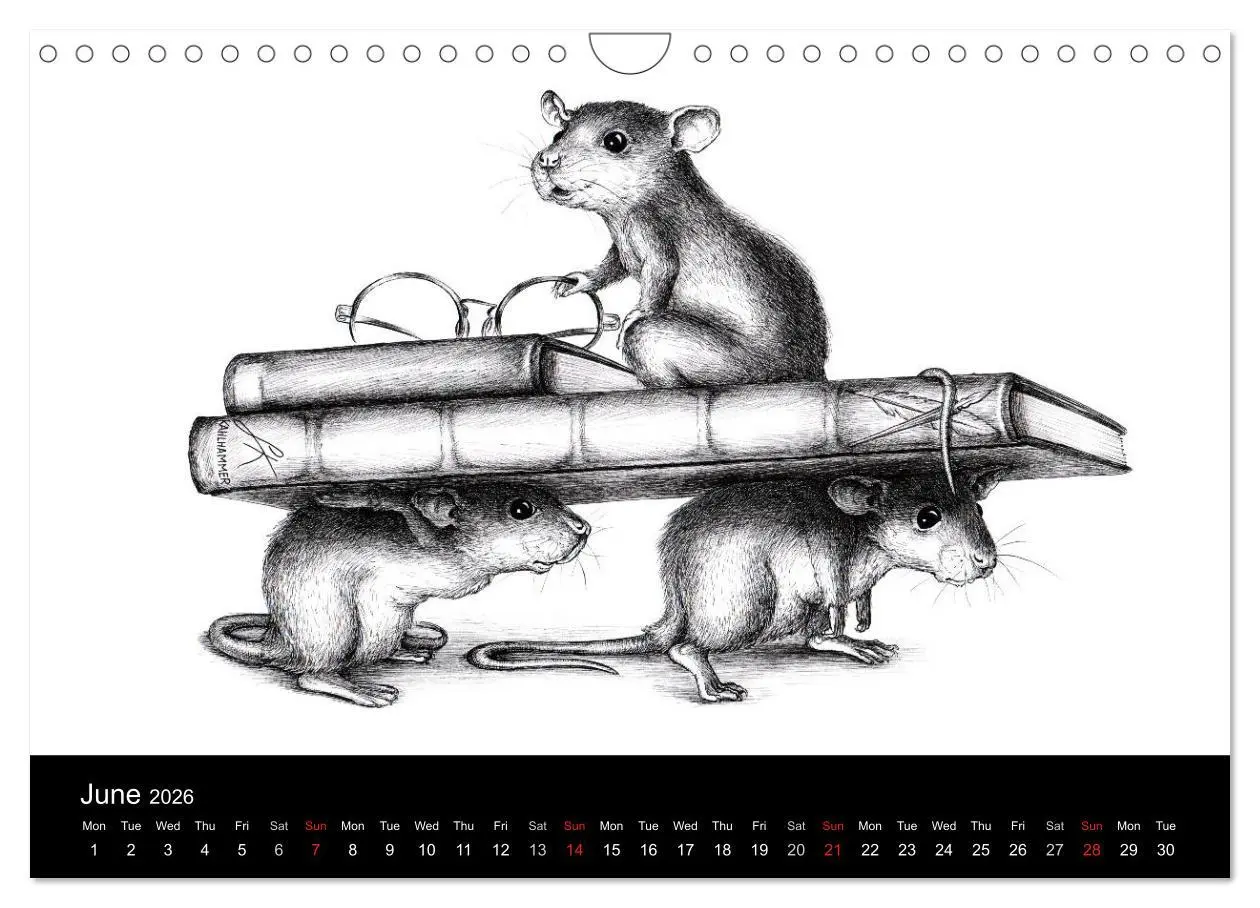 Bild: 9783516582086 | owls &amp; friends 2026 (Wall Calendar 2026 DIN A4 landscape), CALVENDO...