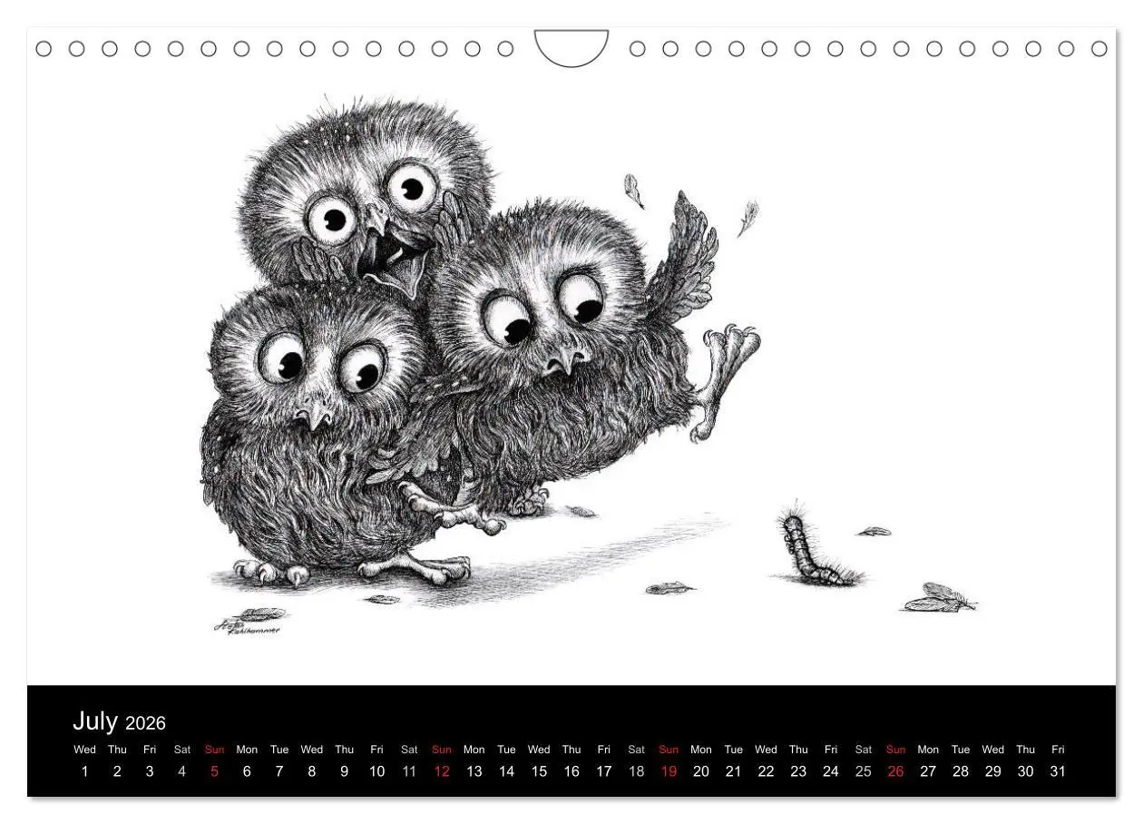Bild: 9783516582086 | owls &amp; friends 2026 (Wall Calendar 2026 DIN A4 landscape), CALVENDO...
