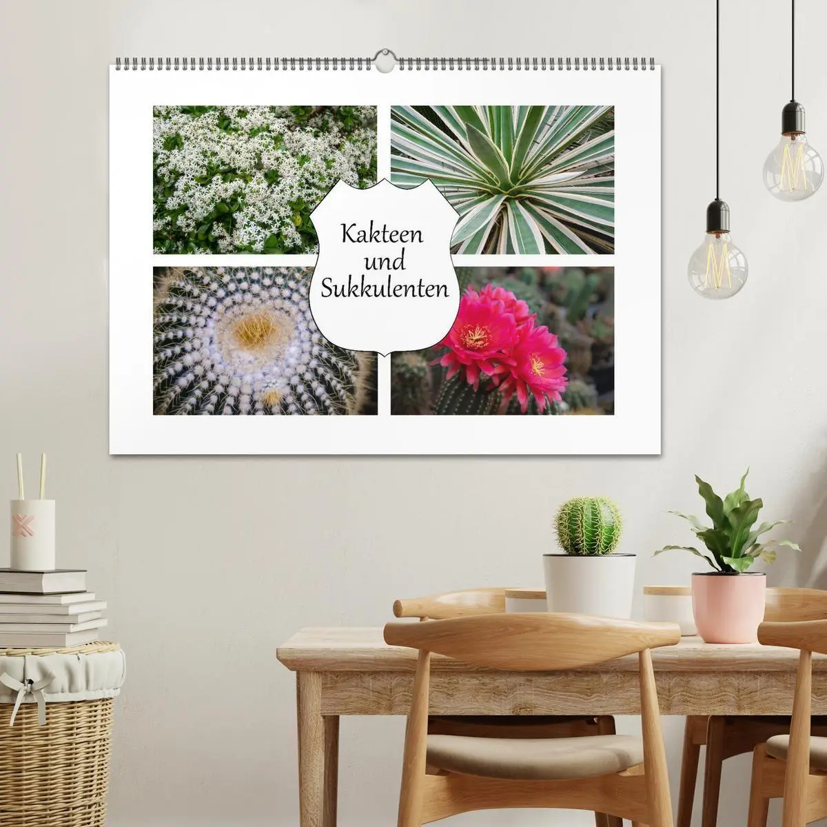 Bild: 9783457792186 | Kakteen und Sukkulenten (Wandkalender 2026 DIN A2 quer), CALVENDO...