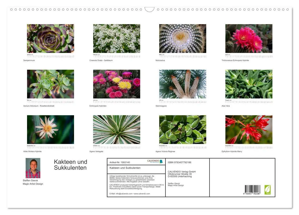 Bild: 9783457792186 | Kakteen und Sukkulenten (Wandkalender 2026 DIN A2 quer), CALVENDO...