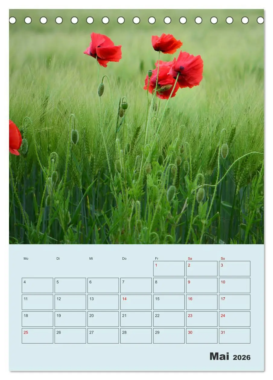 Bild: 9783516402186 | Moin Heiligenhafen (Tischkalender 2026 DIN A5 hoch), CALVENDO...