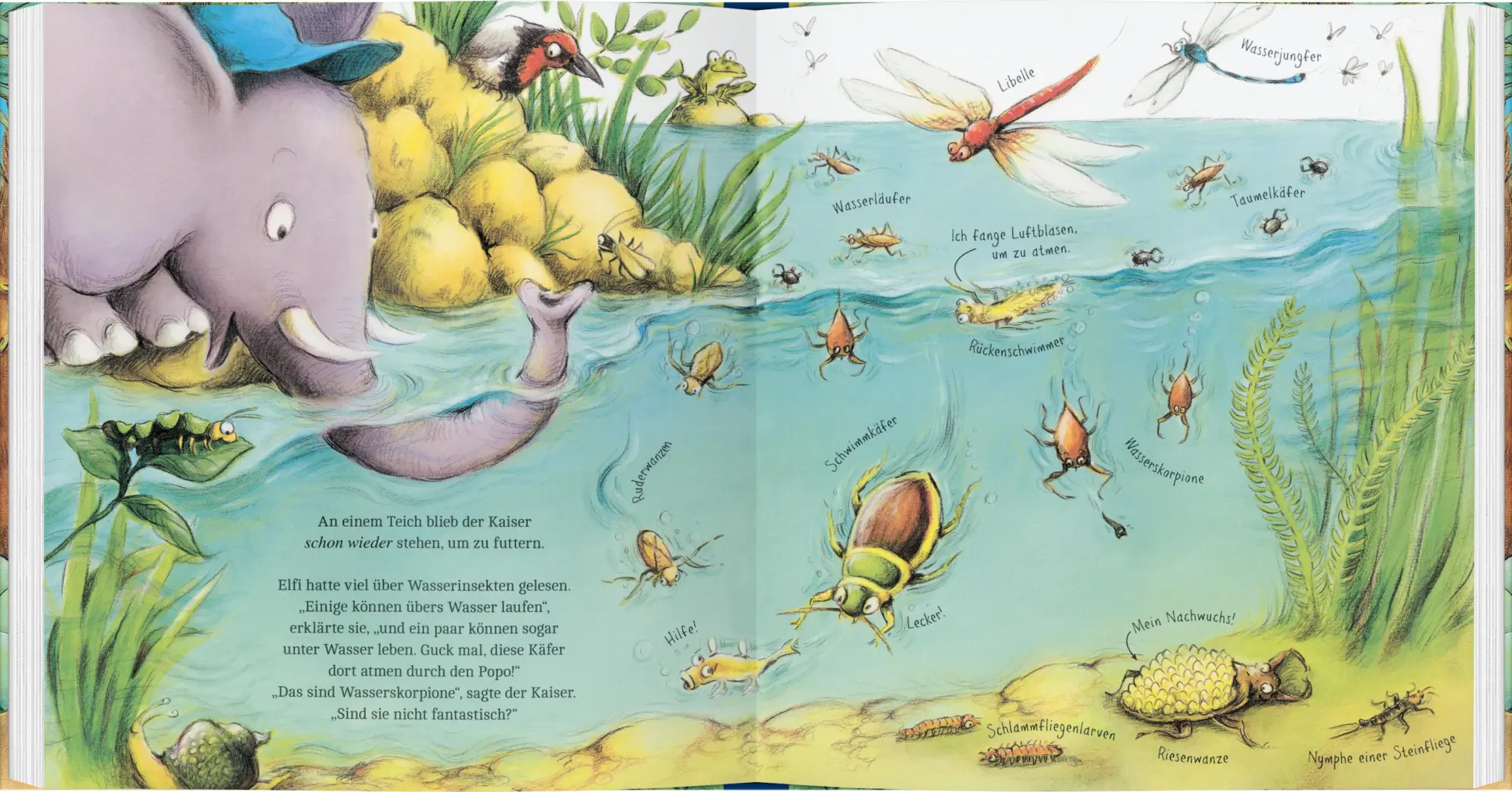 Bild: 9783836962186 | Elefantin Elfi, die Insektenforscherin | Sharon Rentta | Buch | 32 S.