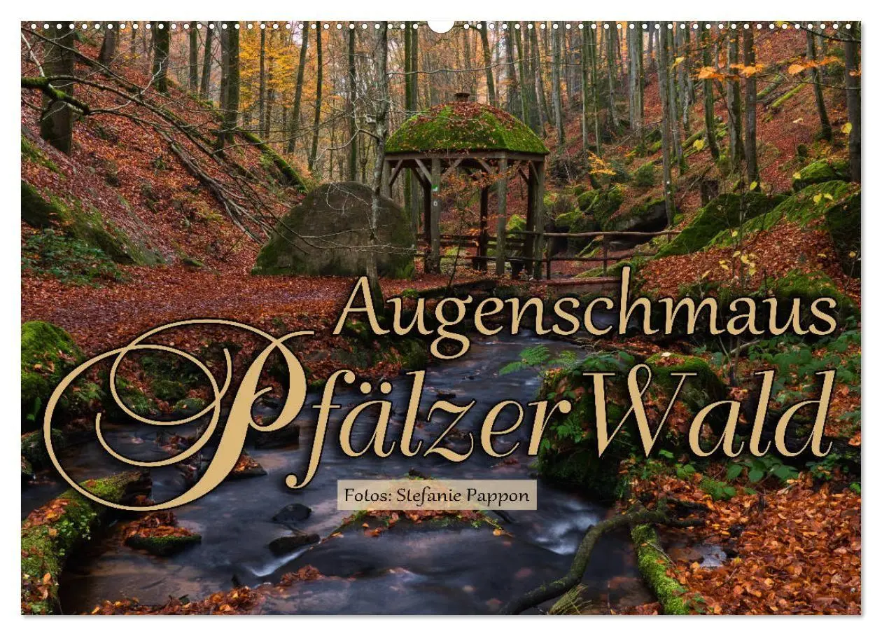 Cover: 9783569582286 | Augenschmaus Pfälzer Wald (Wandkalender 2027 DIN A2 quer), CALVENDO...