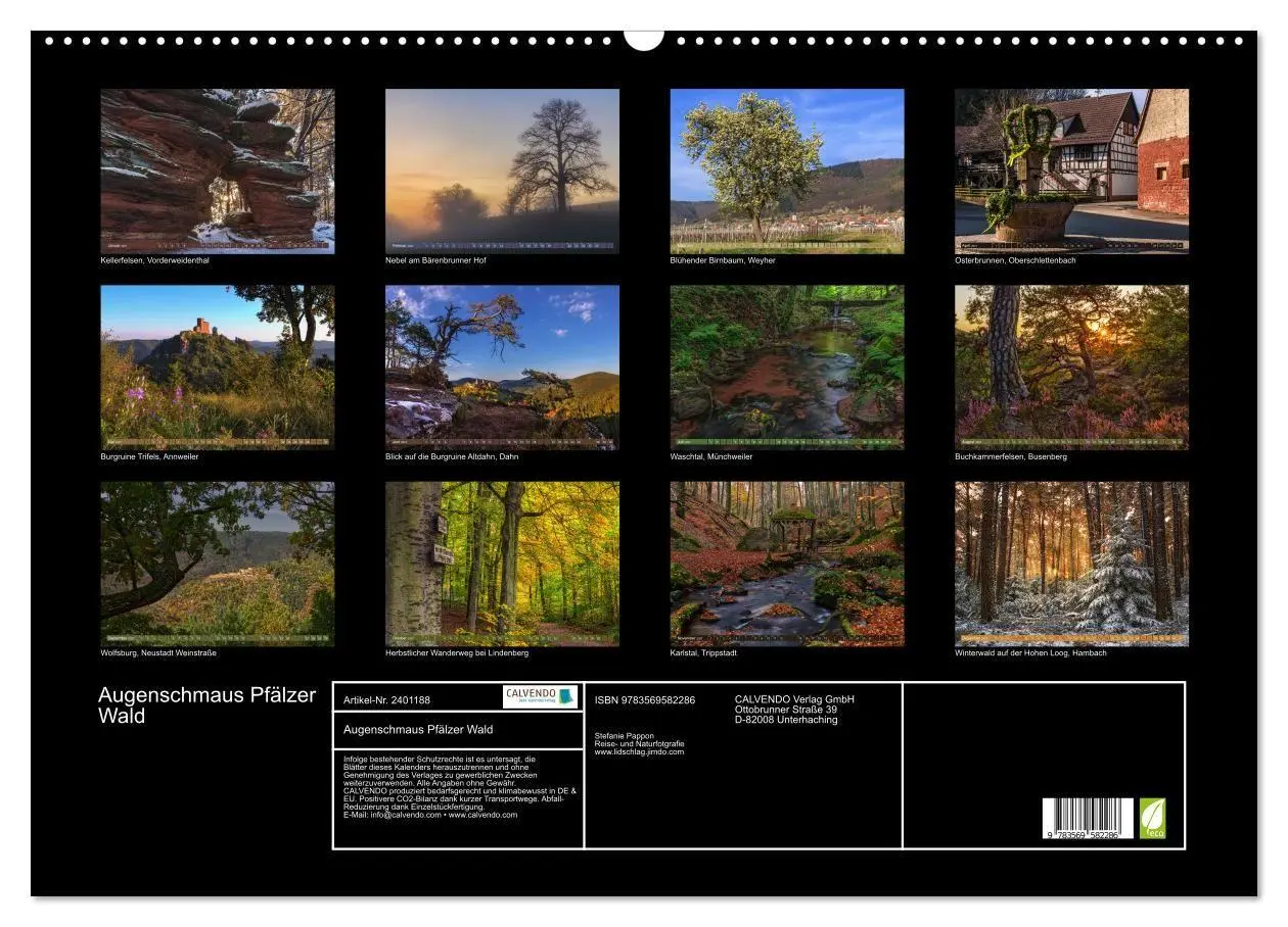 Bild: 9783569582286 | Augenschmaus Pfälzer Wald (Wandkalender 2027 DIN A2 quer), CALVENDO...