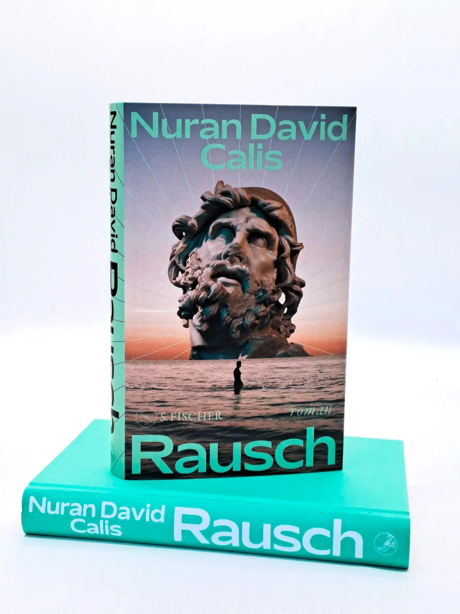 Bild: 9783100102386 | Rausch | Roman | Nuran David Calis | Buch | 288 S. | Deutsch | 2026