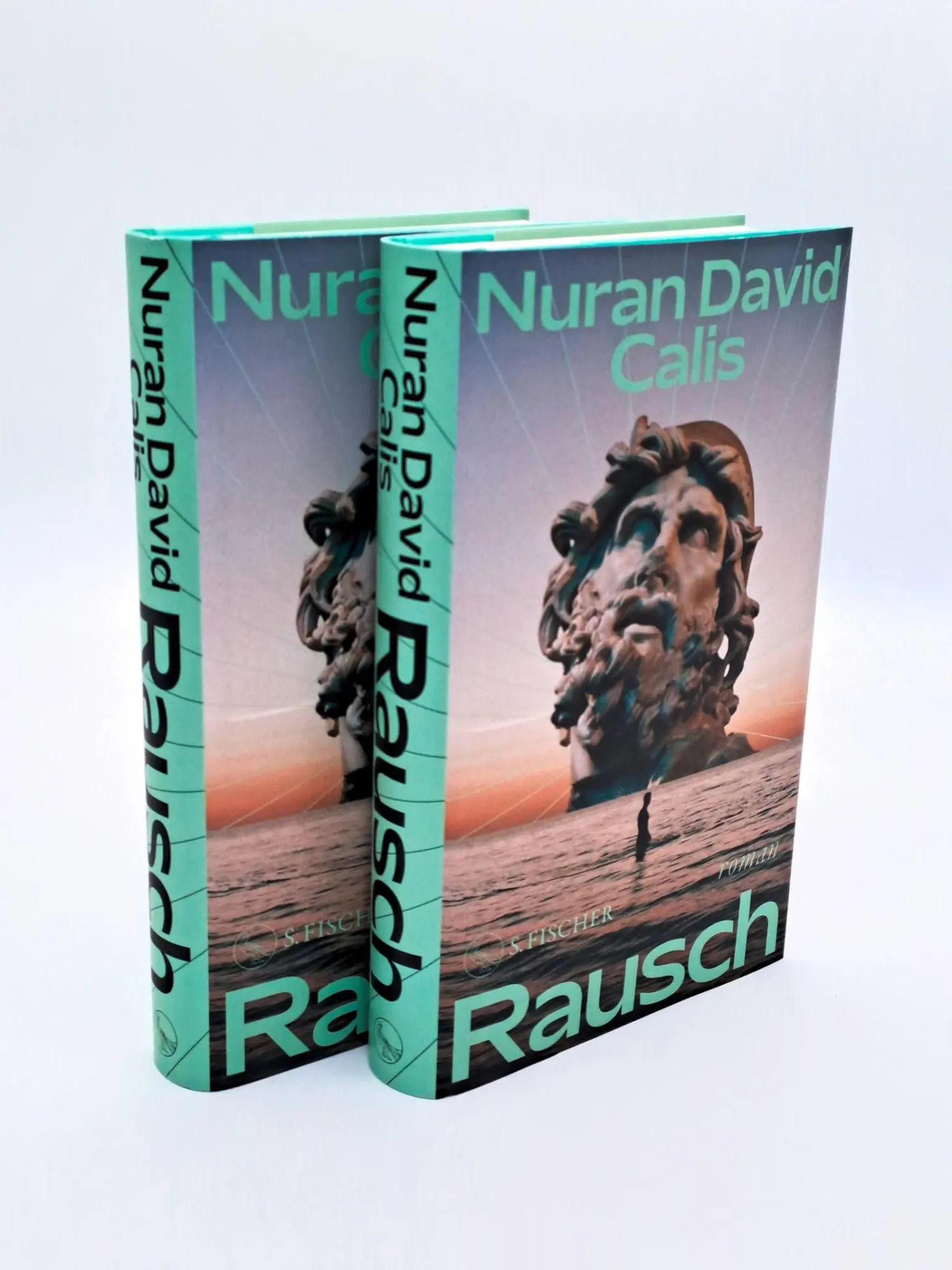 Bild: 9783100102386 | Rausch | Roman | Nuran David Calis | Buch | 288 S. | Deutsch | 2026