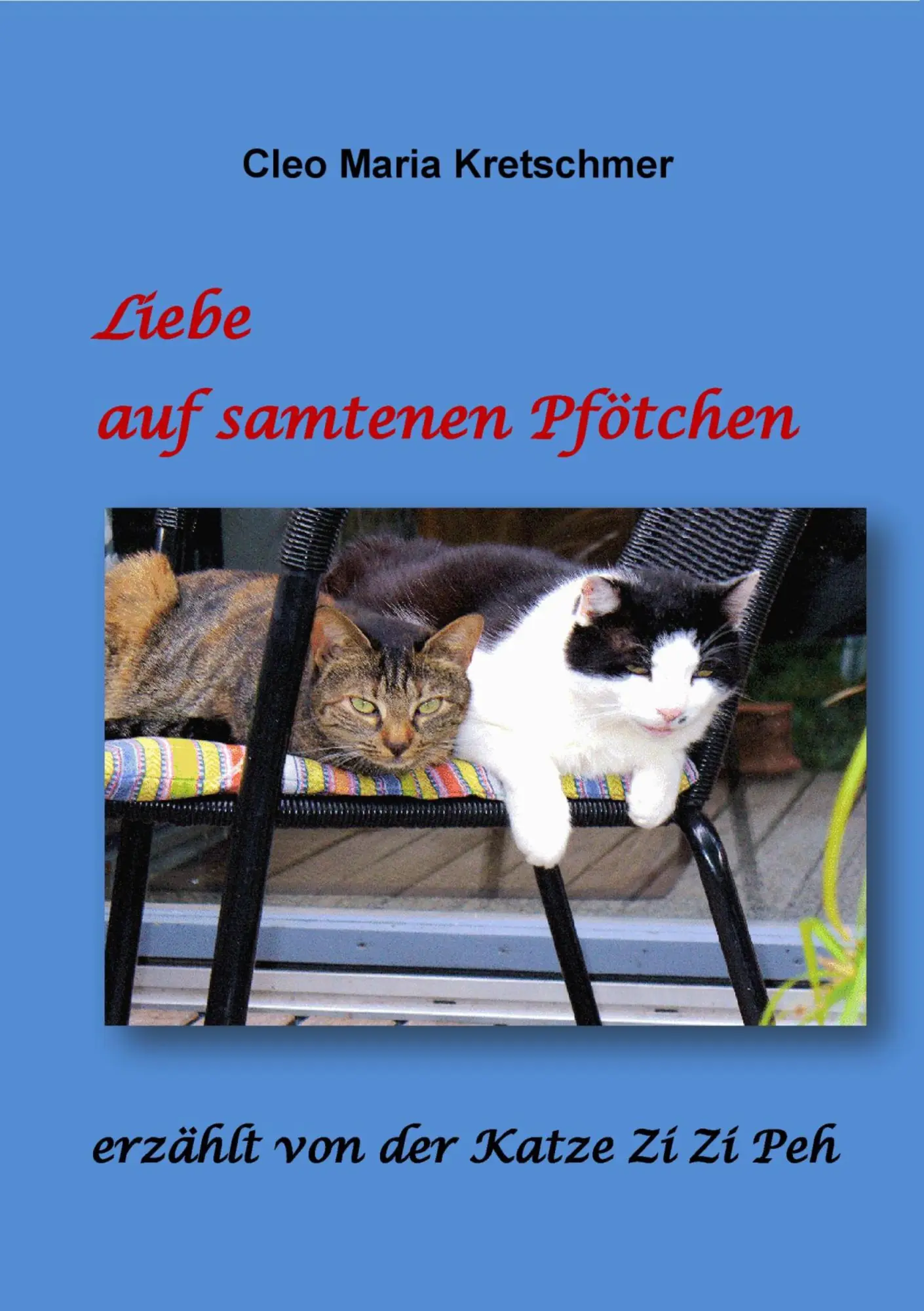 Cover: 9783741272486 | Liebe auf samtenen Pfötchen | erzählt von der Katze Zi Zi Peh | Buch
