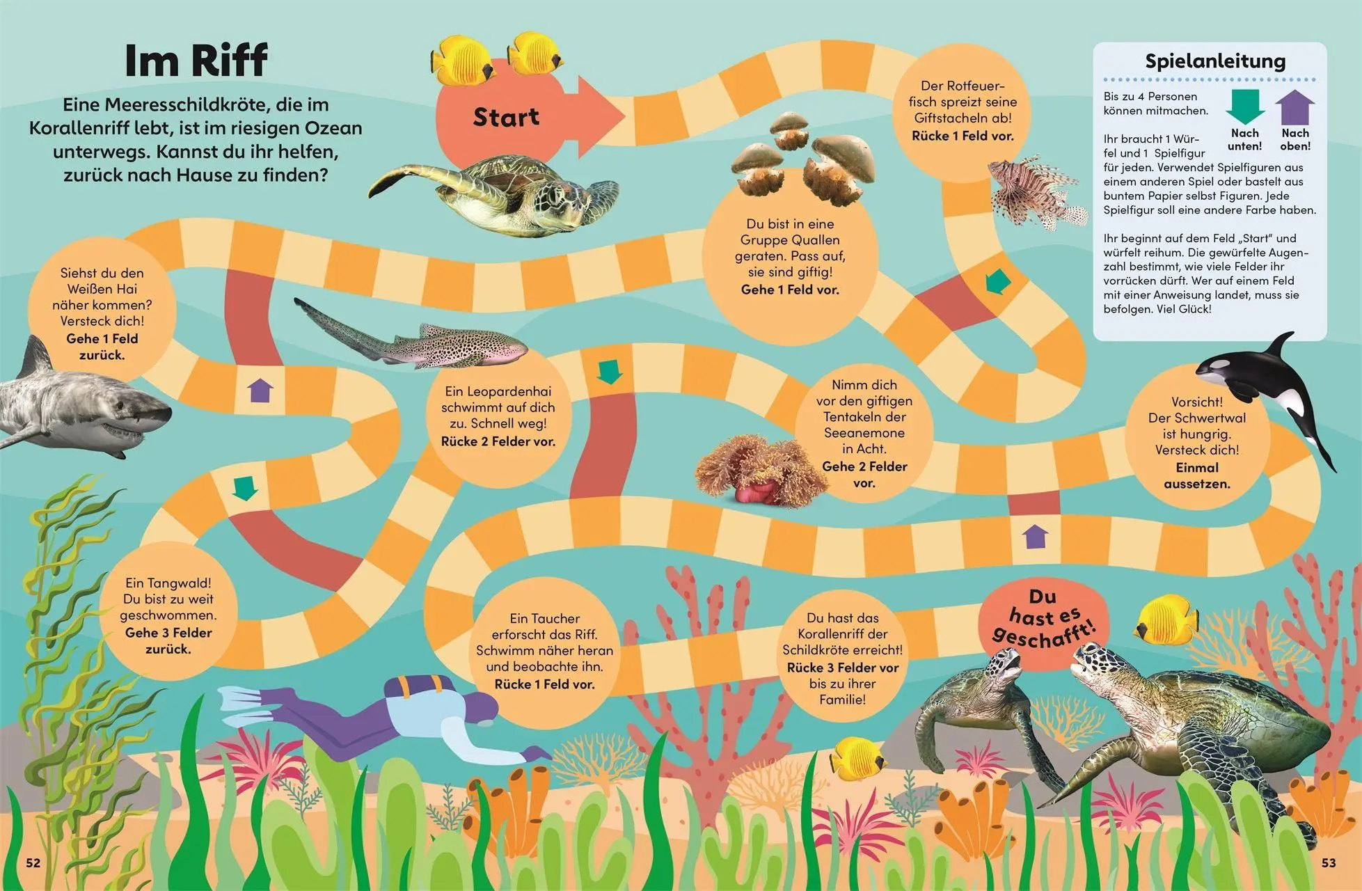 Bild: 9783831052486 | memo Wissen Kids. Das Meer | DK Verlag - Kids | Buch | 56 S. | Deutsch