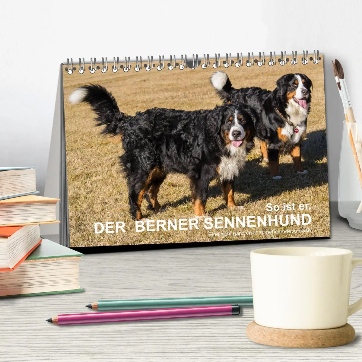 Bild: 9783457752586 | So ist er. Der Berner Sennenhund (Tischkalender 2026 DIN A5 quer),...