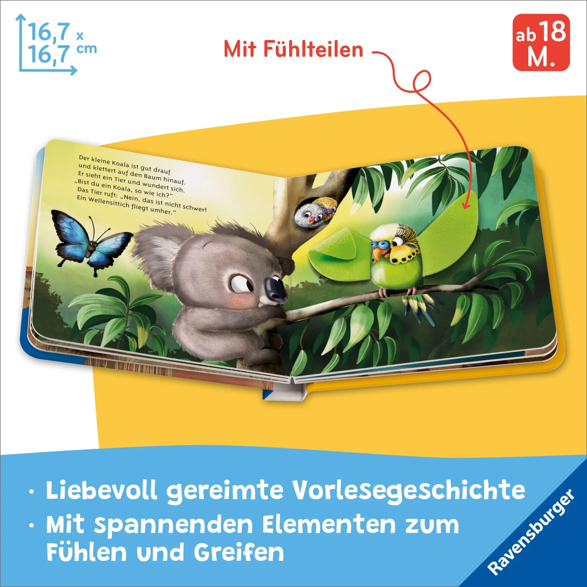 Bild: 9783473422586 | Mein erstes Vorlese-Fühlbuch - Bist du ein Koala? | Kathrin Lena Orso