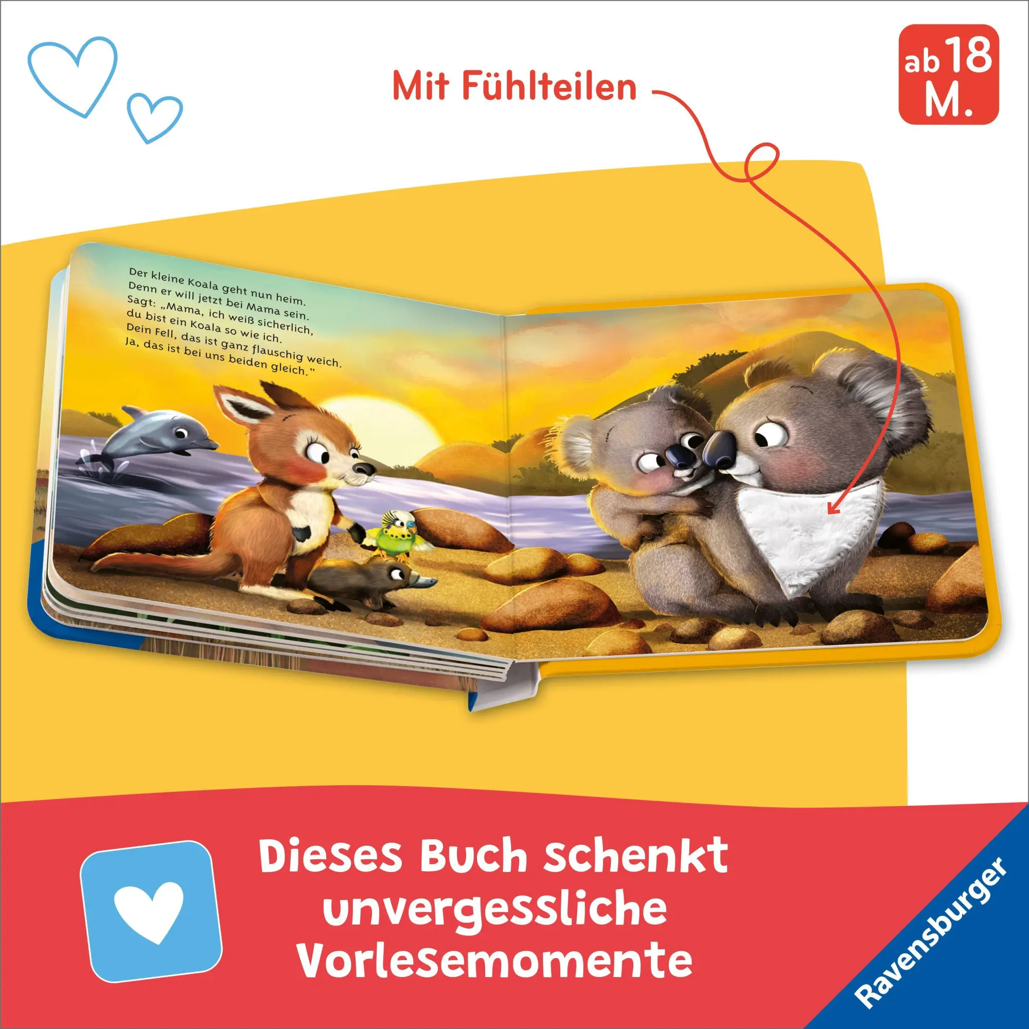 Bild: 9783473422586 | Mein erstes Vorlese-Fühlbuch - Bist du ein Koala? | Kathrin Lena Orso