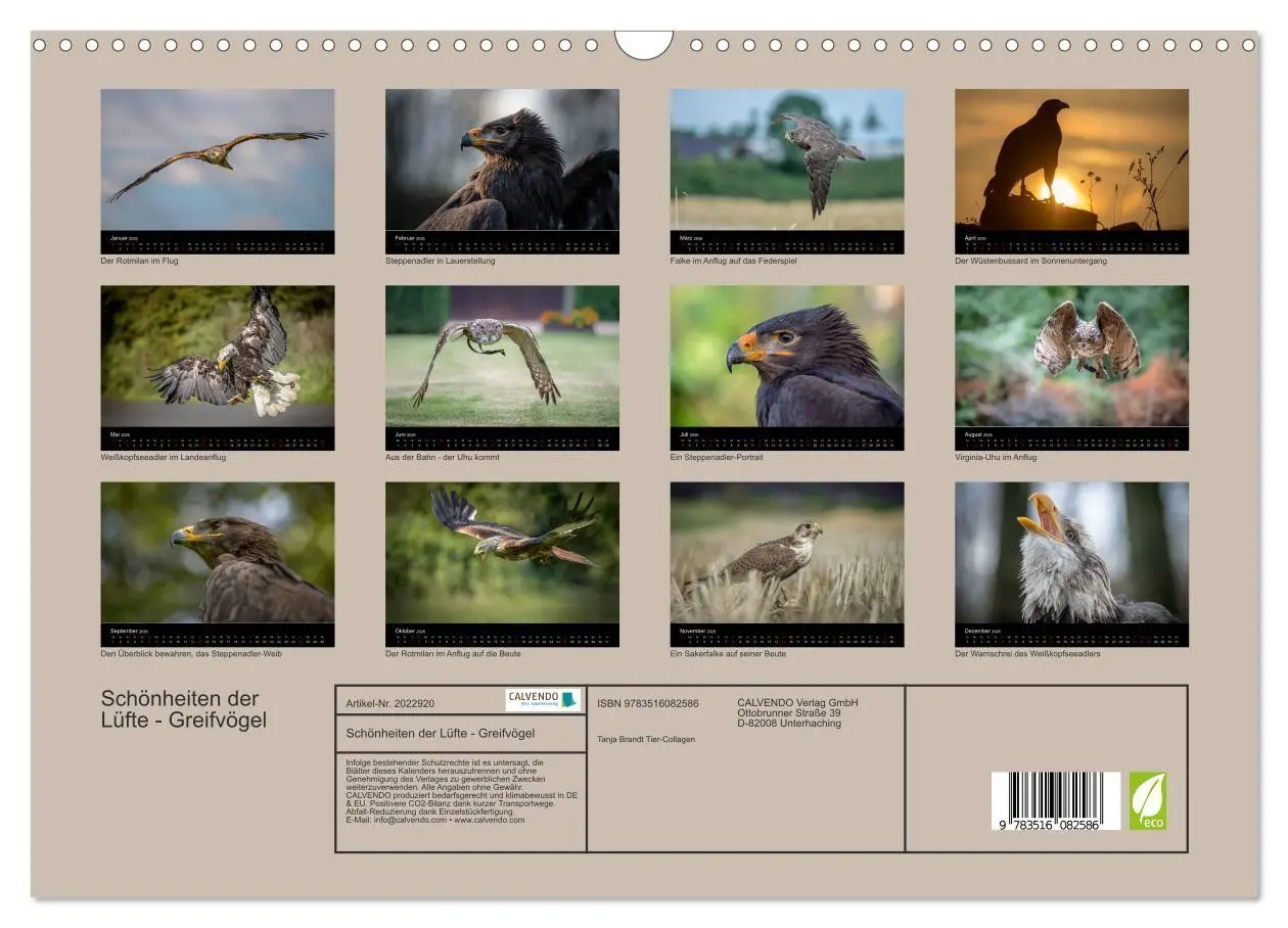Bild: 9783516082586 | Schönheiten der Lüfte - Greifvögel (Wandkalender 2026 DIN A3 quer),...