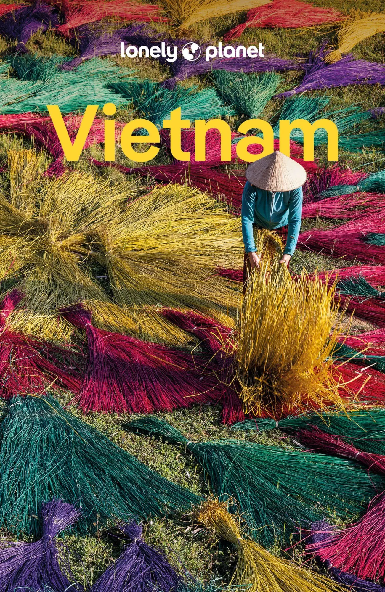 Cover: 9783575012586 | LONELY PLANET Reiseführer Vietnam | LONELY PLANET Deutschland | Buch