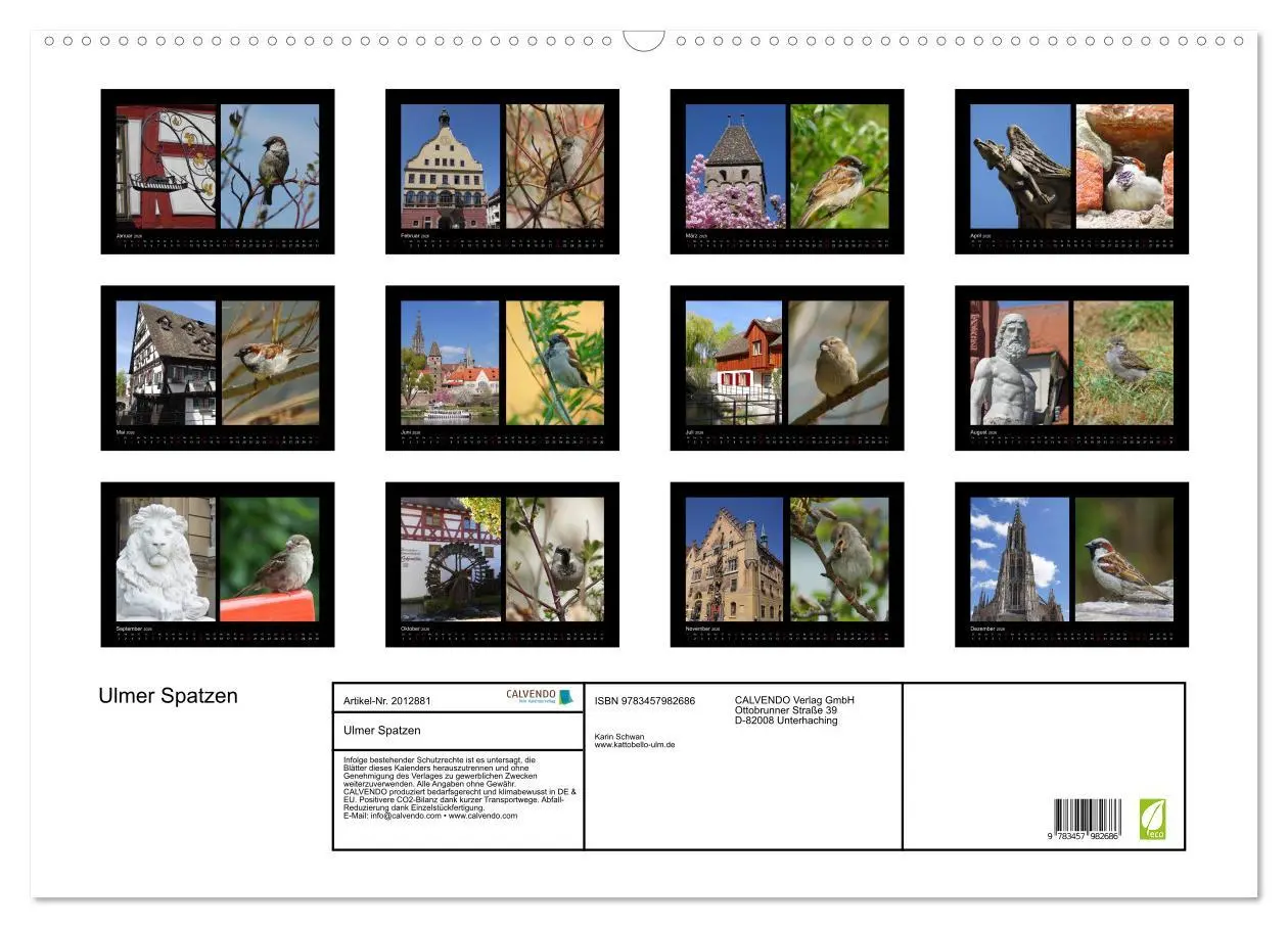Bild: 9783457982686 | Ulmer Spatzen (Wandkalender 2026 DIN A2 quer), CALVENDO Monatskalender