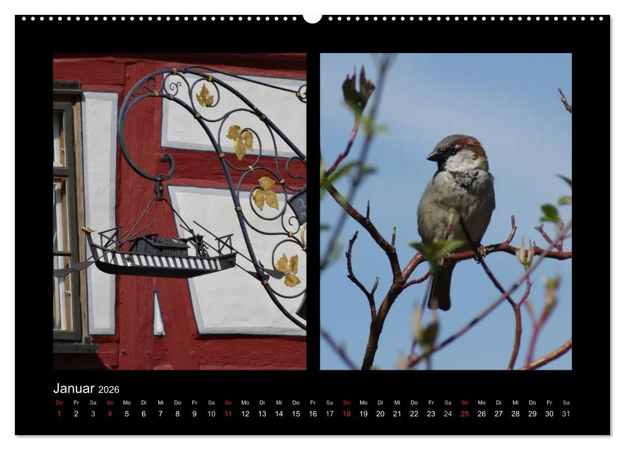 Bild: 9783457982686 | Ulmer Spatzen (Wandkalender 2026 DIN A2 quer), CALVENDO Monatskalender