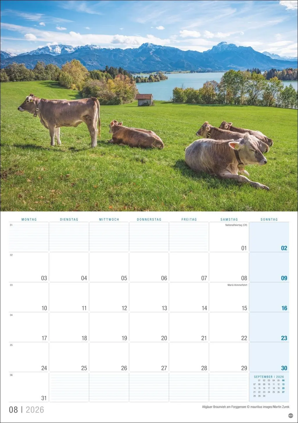 Bild: 9783756412686 | Allgäu Planer 2026 | Kalender | 13 S. | Deutsch | 2026 | Heye