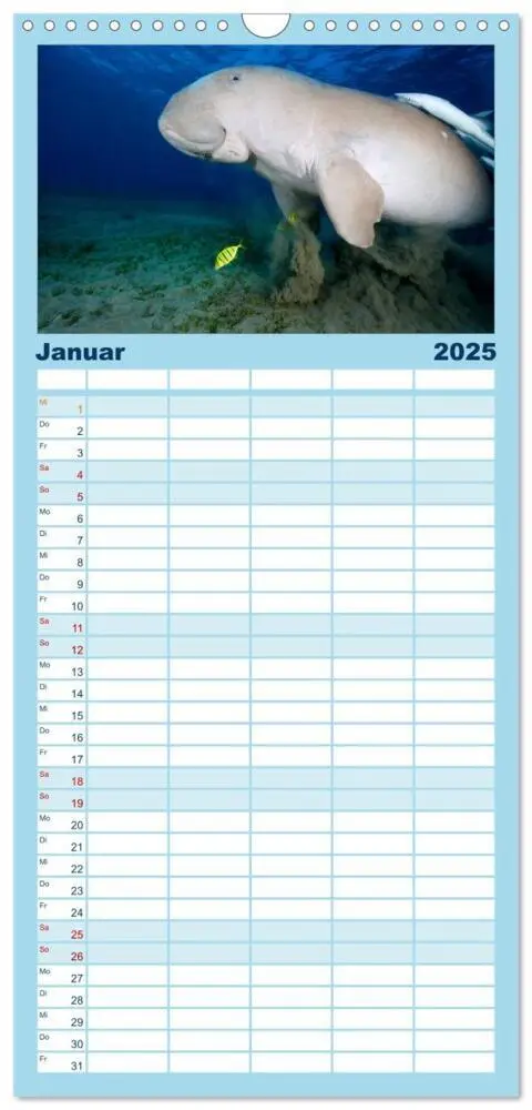 Bild: 9783457112786 | Familienplaner 2025 - Tauchen im Roten Meer 2025 mit 5 Spalten...