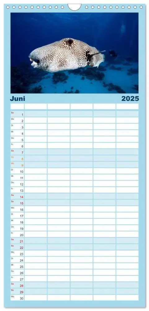 Bild: 9783457112786 | Familienplaner 2025 - Tauchen im Roten Meer 2025 mit 5 Spalten...