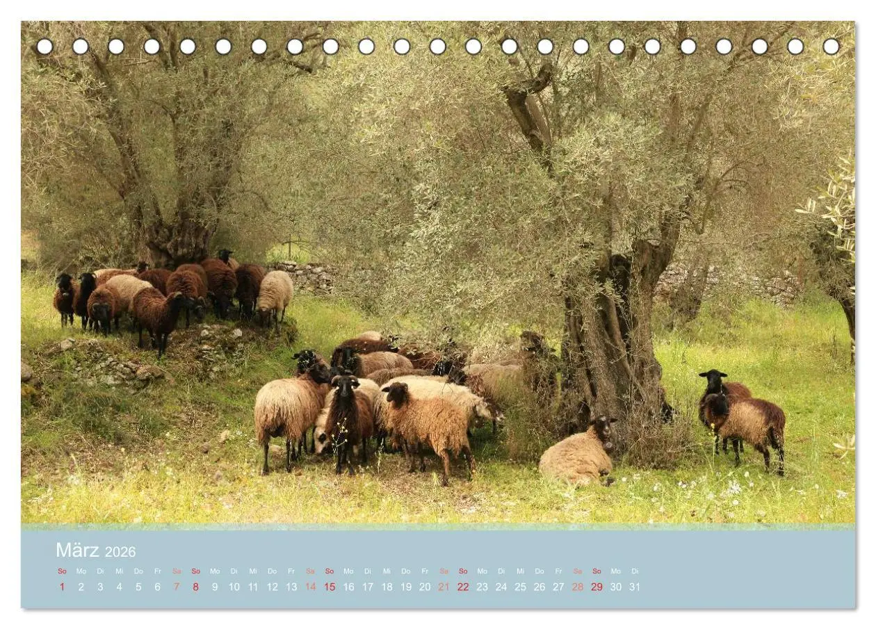 Bild: 9783516122886 | Lesbos - Inselimpressionen (Tischkalender 2026 DIN A5 quer),...