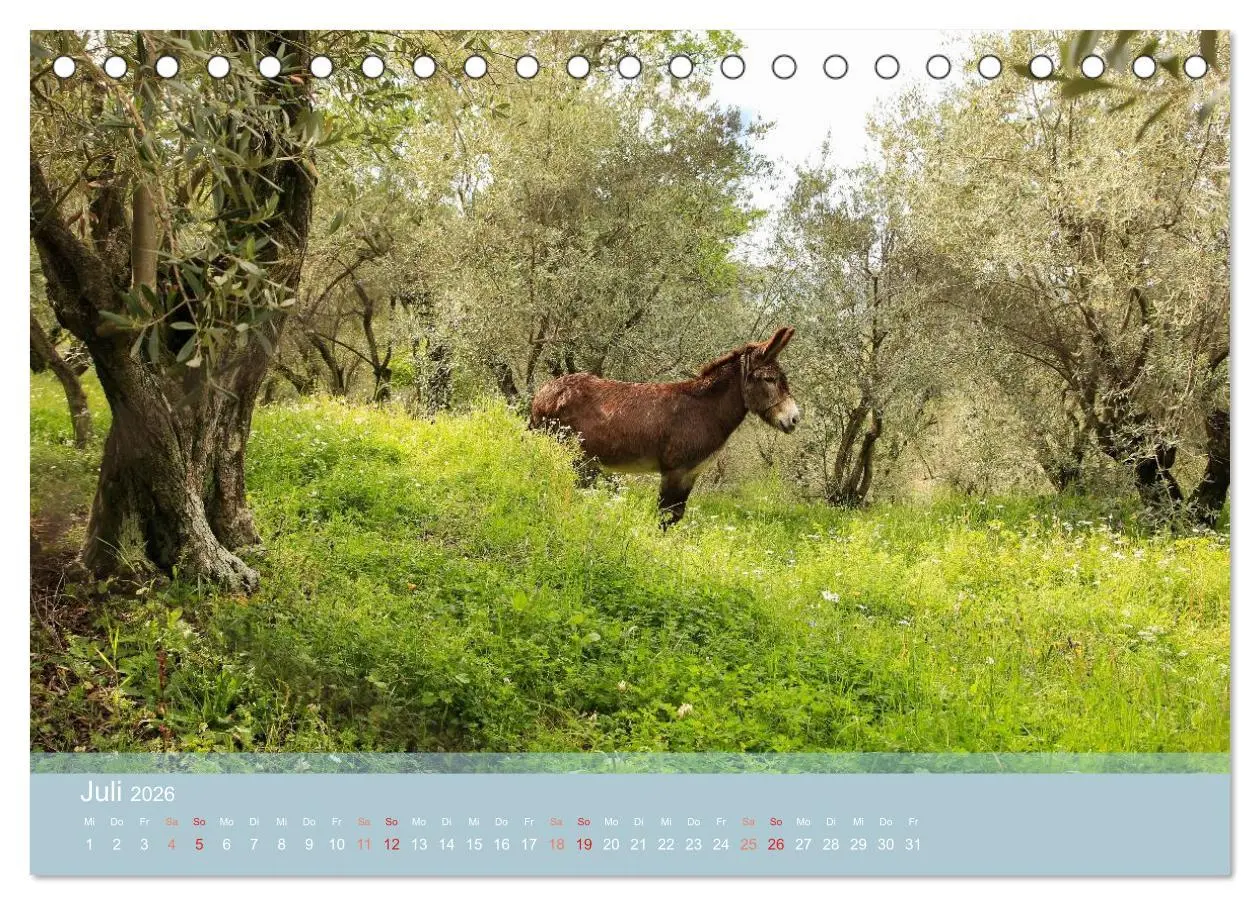 Bild: 9783516122886 | Lesbos - Inselimpressionen (Tischkalender 2026 DIN A5 quer),...