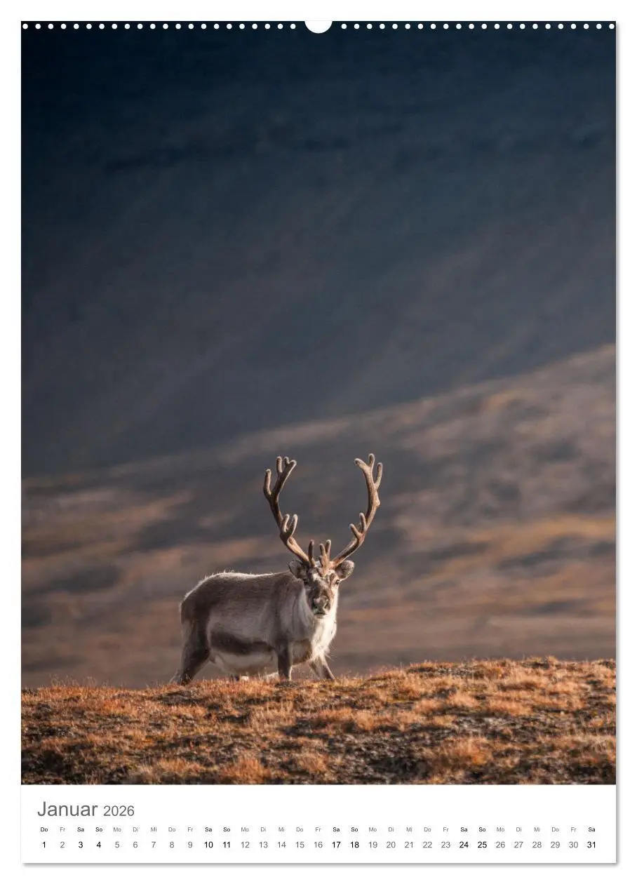 Bild: 9783516292886 | Die Arktis - Naturfotografien aus Spitzbergen (hochwertiger Premium...