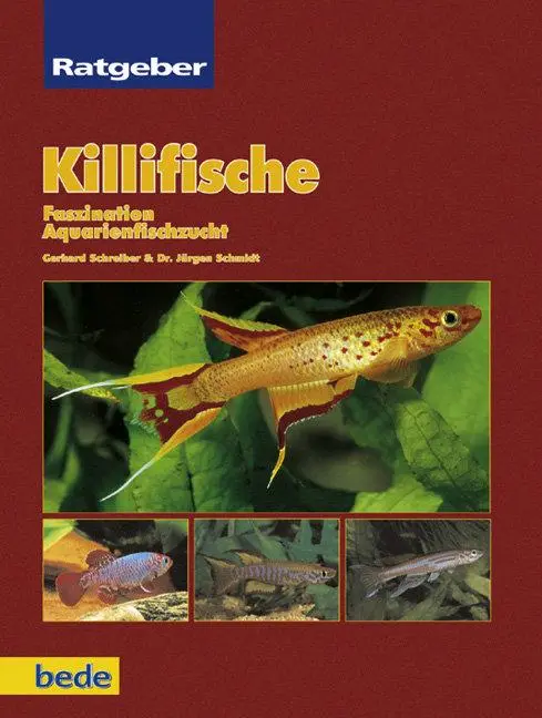 Cover: 9783931792886 | Ratgeber Killifische | Faszination Aquarienzucht | Jürgen Schmidt