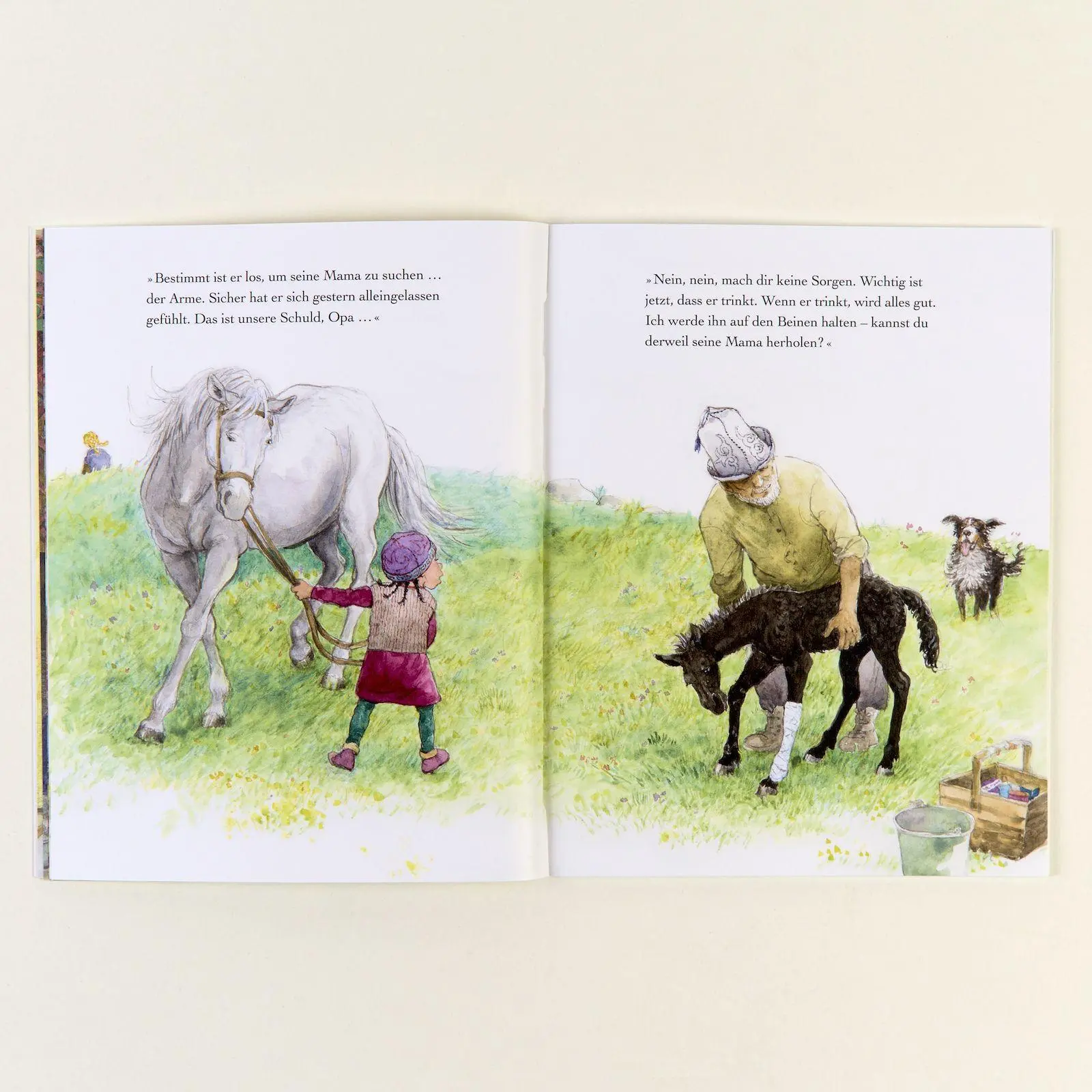 Bild: 9783407762986 | Kleines Pferdchen Mahabat | Vierfarbiges Bilderbuch | Satomi Ichikawa