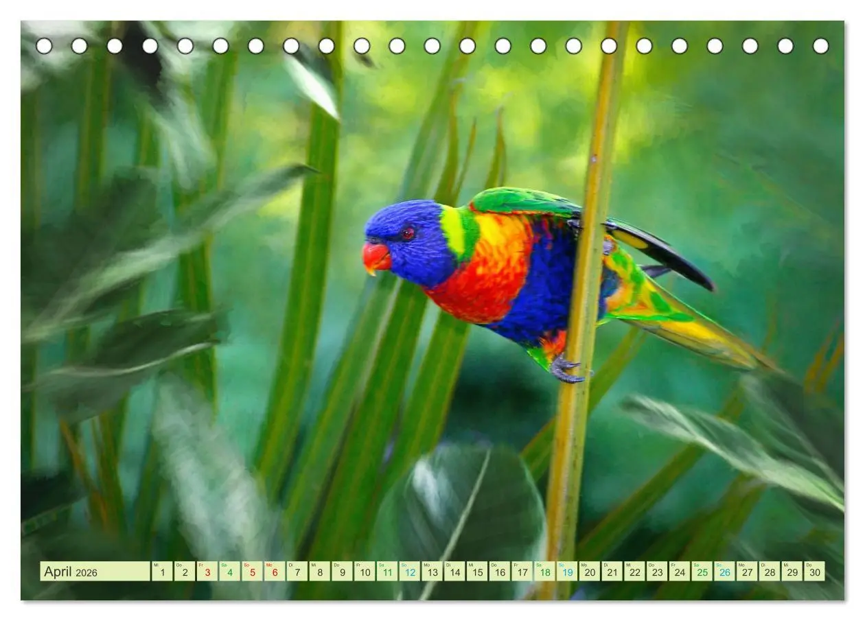 Bild: 9783457572986 | Hallo Dschungel - Artwork (Tischkalender 2026 DIN A5 quer),...