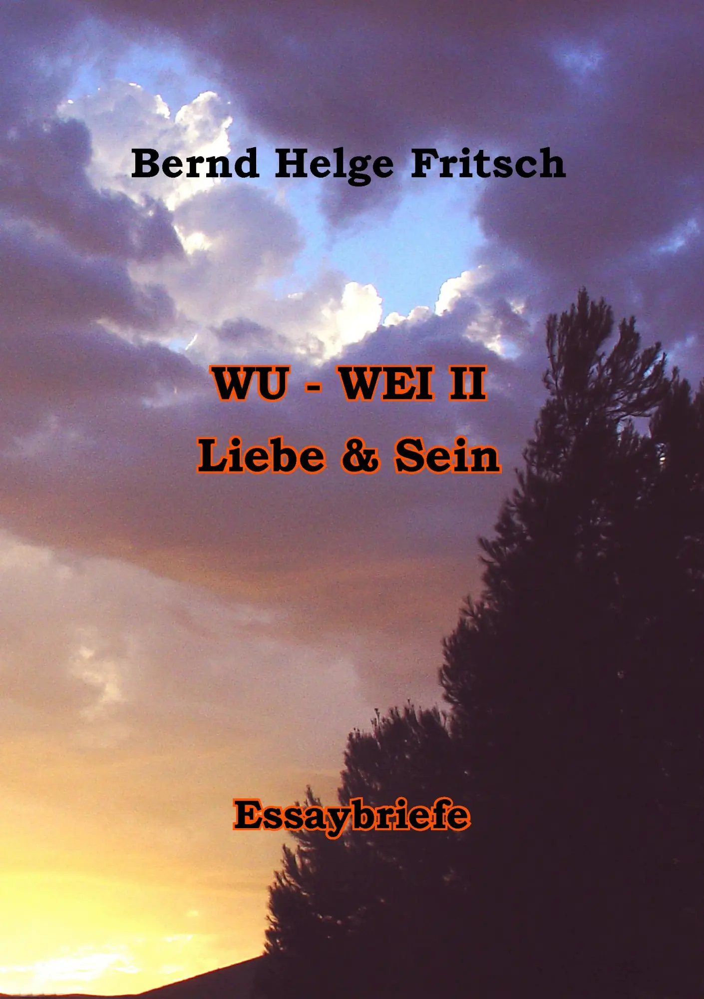 Cover: 9783741222986 | Wu - Wei II | Liebe und Sein | Bernd Helge Fritsch | Taschenbuch