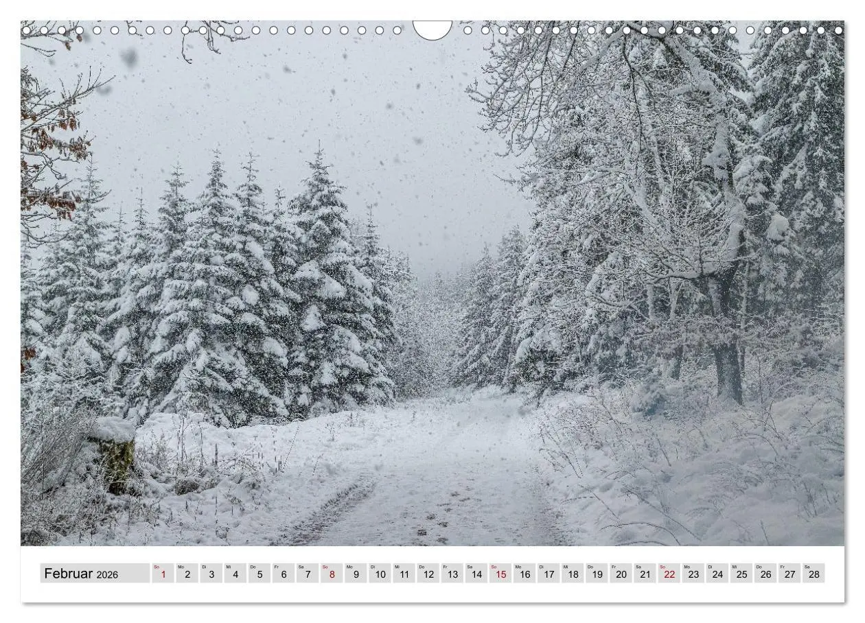 Bild: 9783457913086 | Sauerland - Land der tausend Berge (Wandkalender 2026 DIN A3 quer),...