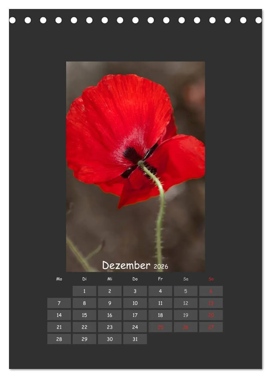 Bild: 9783516483086 | Mohn (Tischkalender 2026 DIN A5 hoch), CALVENDO Monatskalender | 2026