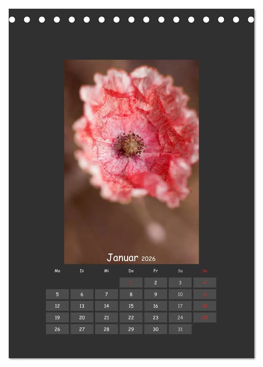 Bild: 9783516483086 | Mohn (Tischkalender 2026 DIN A5 hoch), CALVENDO Monatskalender | 2026