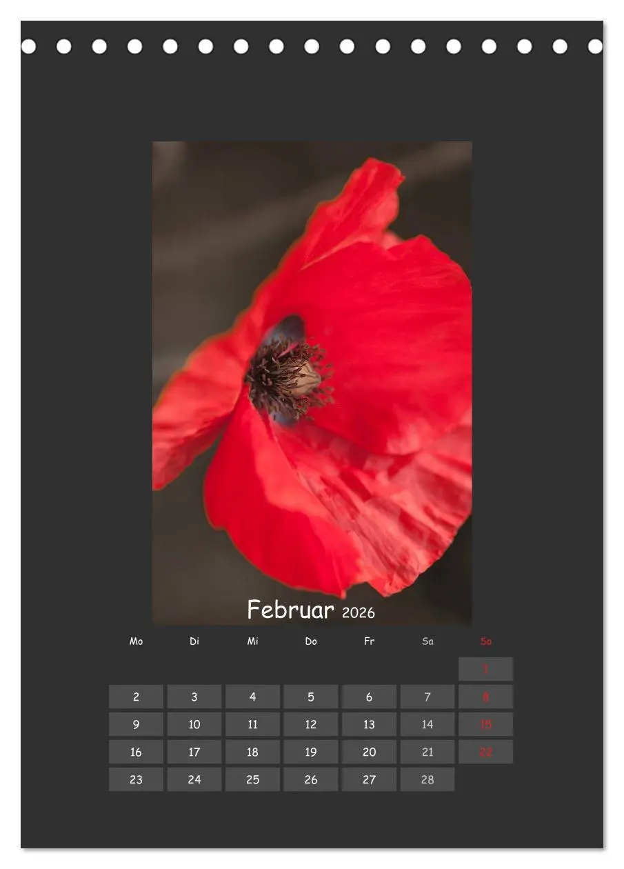 Bild: 9783516483086 | Mohn (Tischkalender 2026 DIN A5 hoch), CALVENDO Monatskalender | 2026