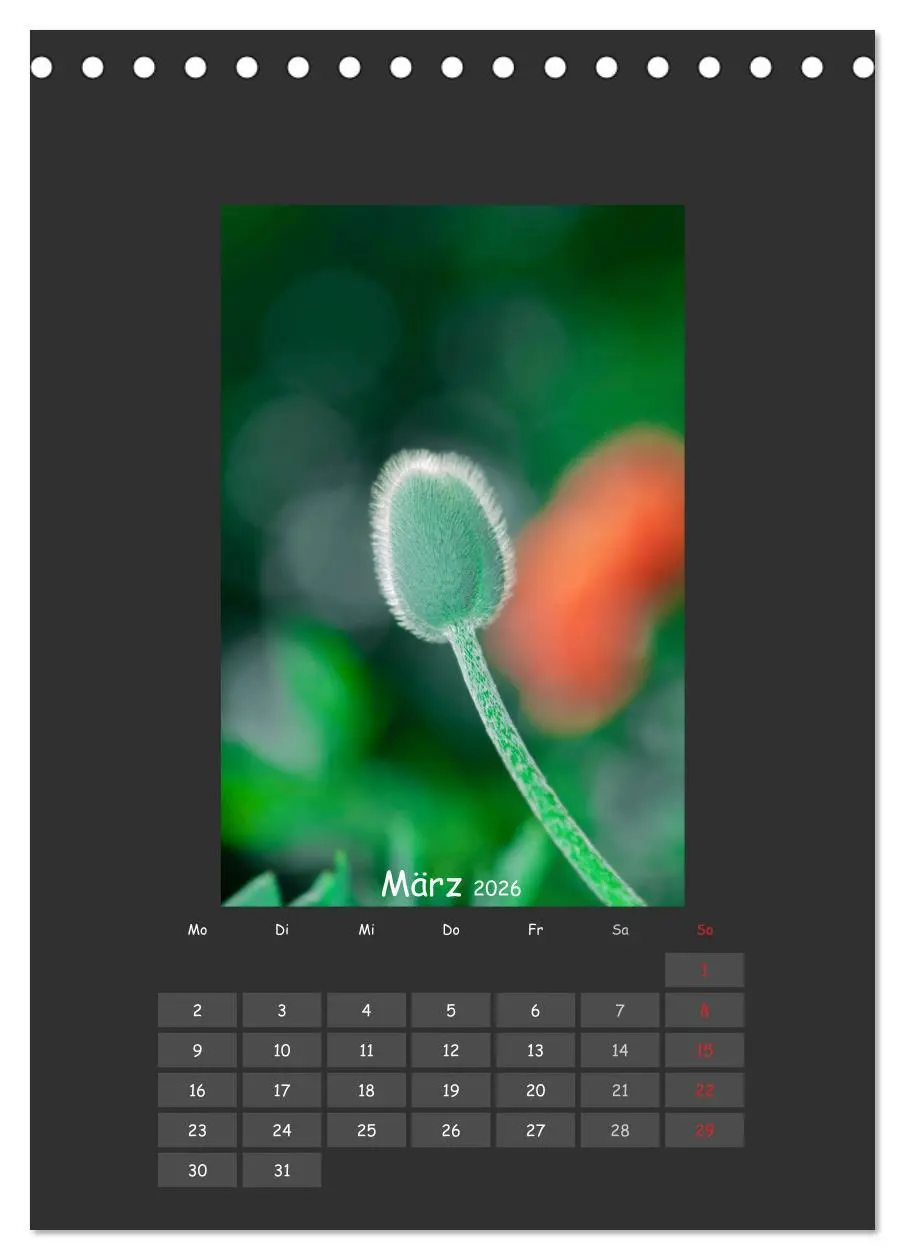 Bild: 9783516483086 | Mohn (Tischkalender 2026 DIN A5 hoch), CALVENDO Monatskalender | 2026