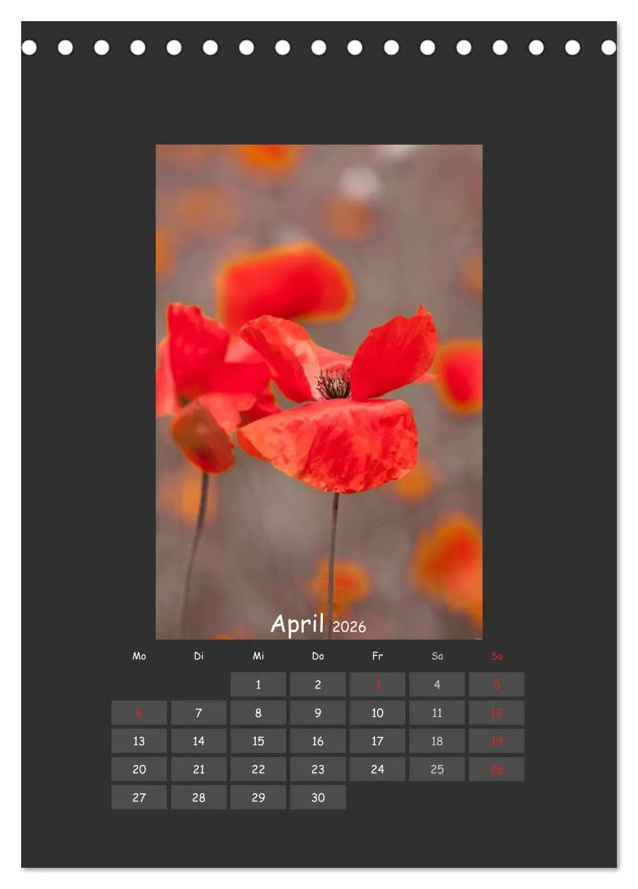 Bild: 9783516483086 | Mohn (Tischkalender 2026 DIN A5 hoch), CALVENDO Monatskalender | 2026