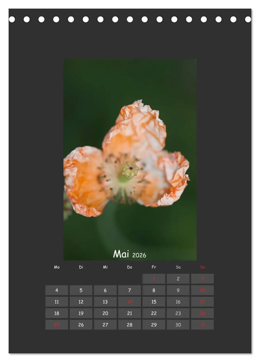 Bild: 9783516483086 | Mohn (Tischkalender 2026 DIN A5 hoch), CALVENDO Monatskalender | 2026