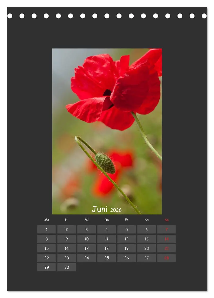 Bild: 9783516483086 | Mohn (Tischkalender 2026 DIN A5 hoch), CALVENDO Monatskalender | 2026