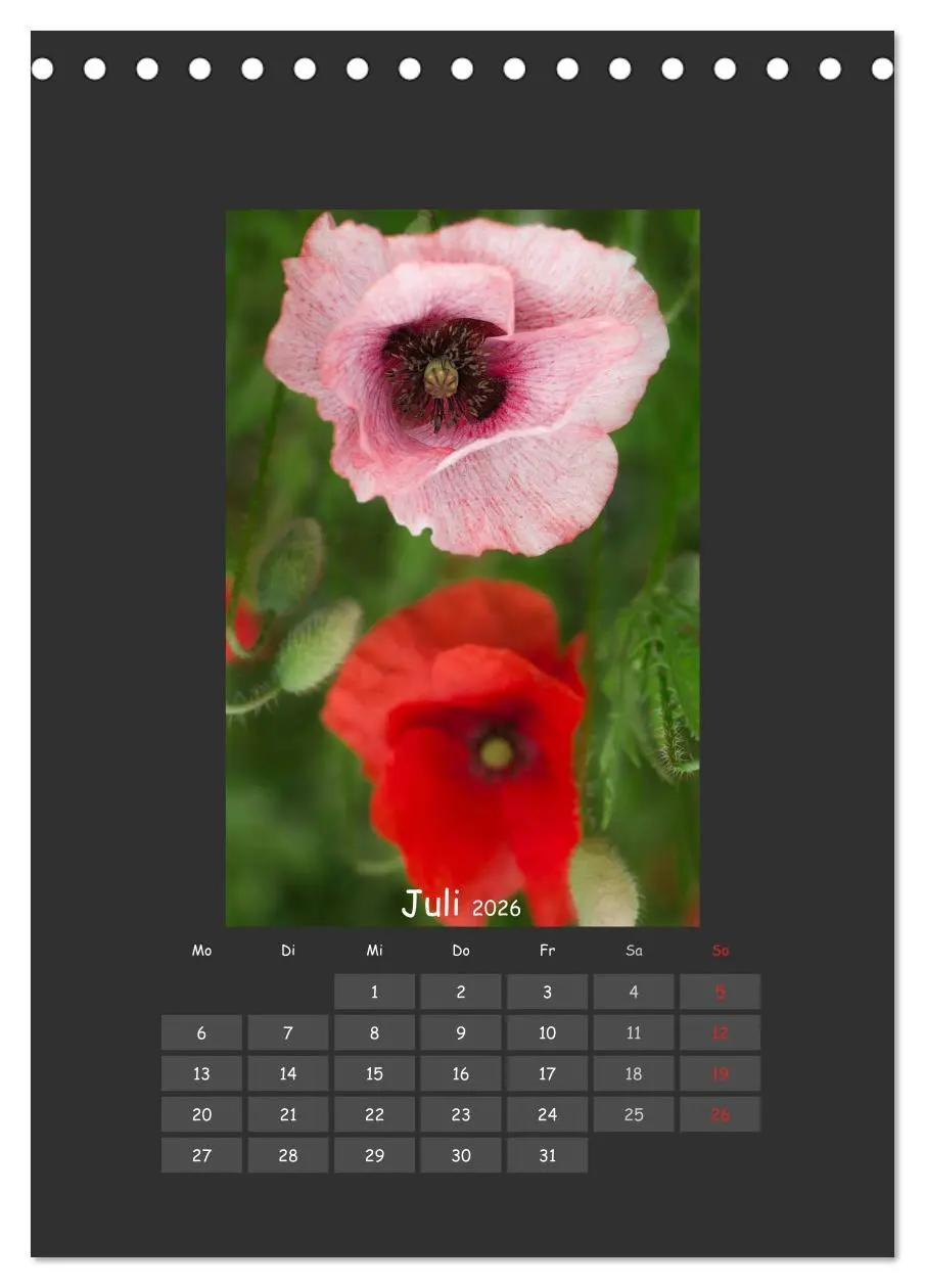 Bild: 9783516483086 | Mohn (Tischkalender 2026 DIN A5 hoch), CALVENDO Monatskalender | 2026