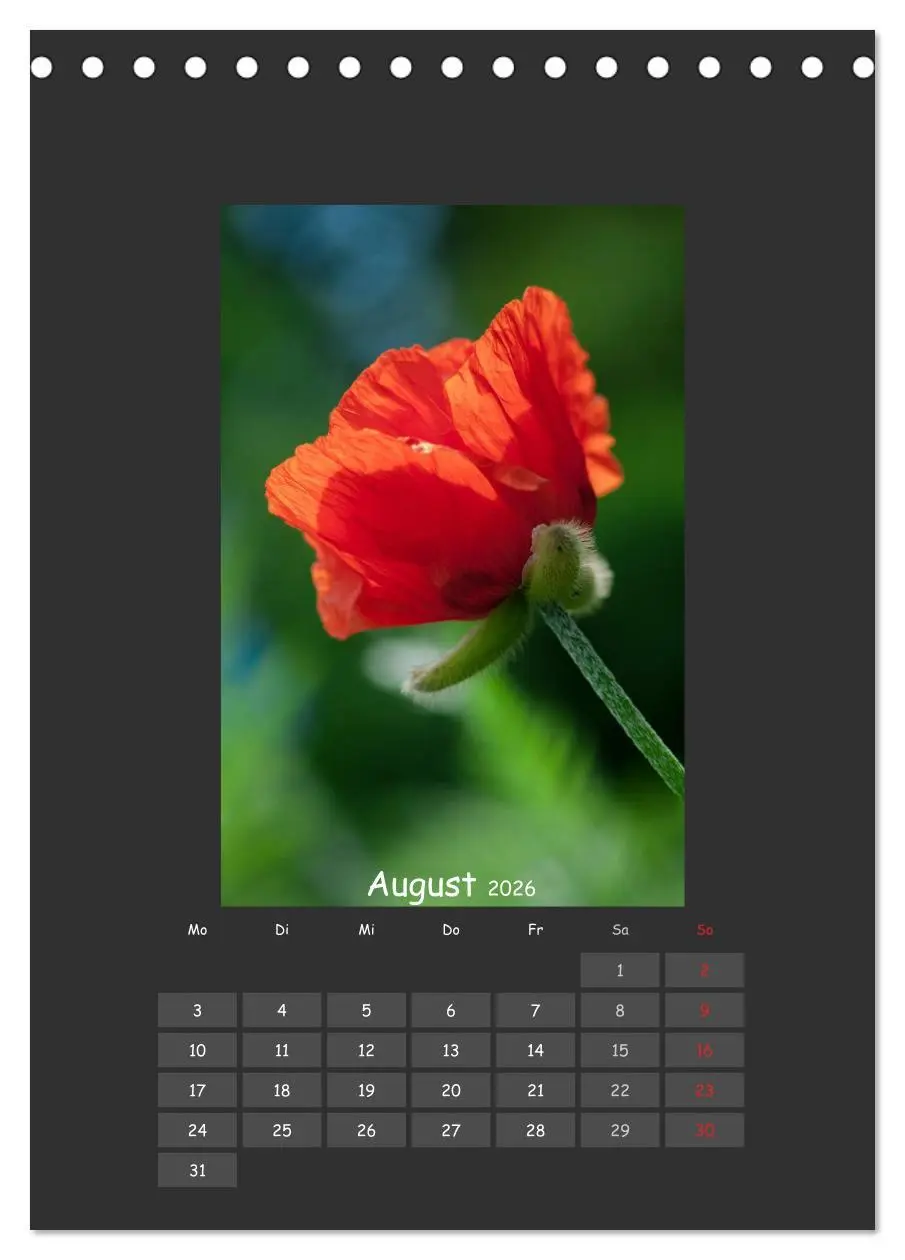 Bild: 9783516483086 | Mohn (Tischkalender 2026 DIN A5 hoch), CALVENDO Monatskalender | 2026