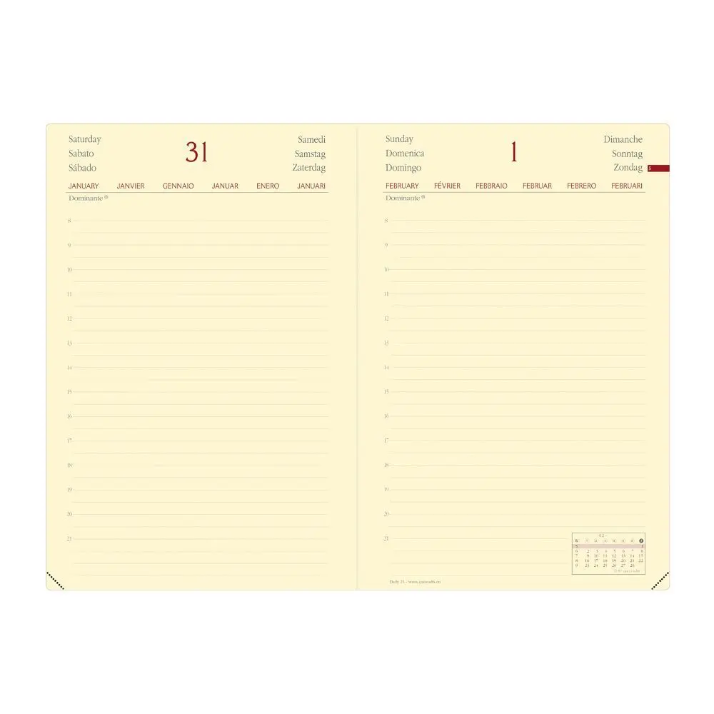 Bild: 3371010503186 | DAILY 21 PREST fas ML Silk vert eau Elas | Terminkalender Tischformat