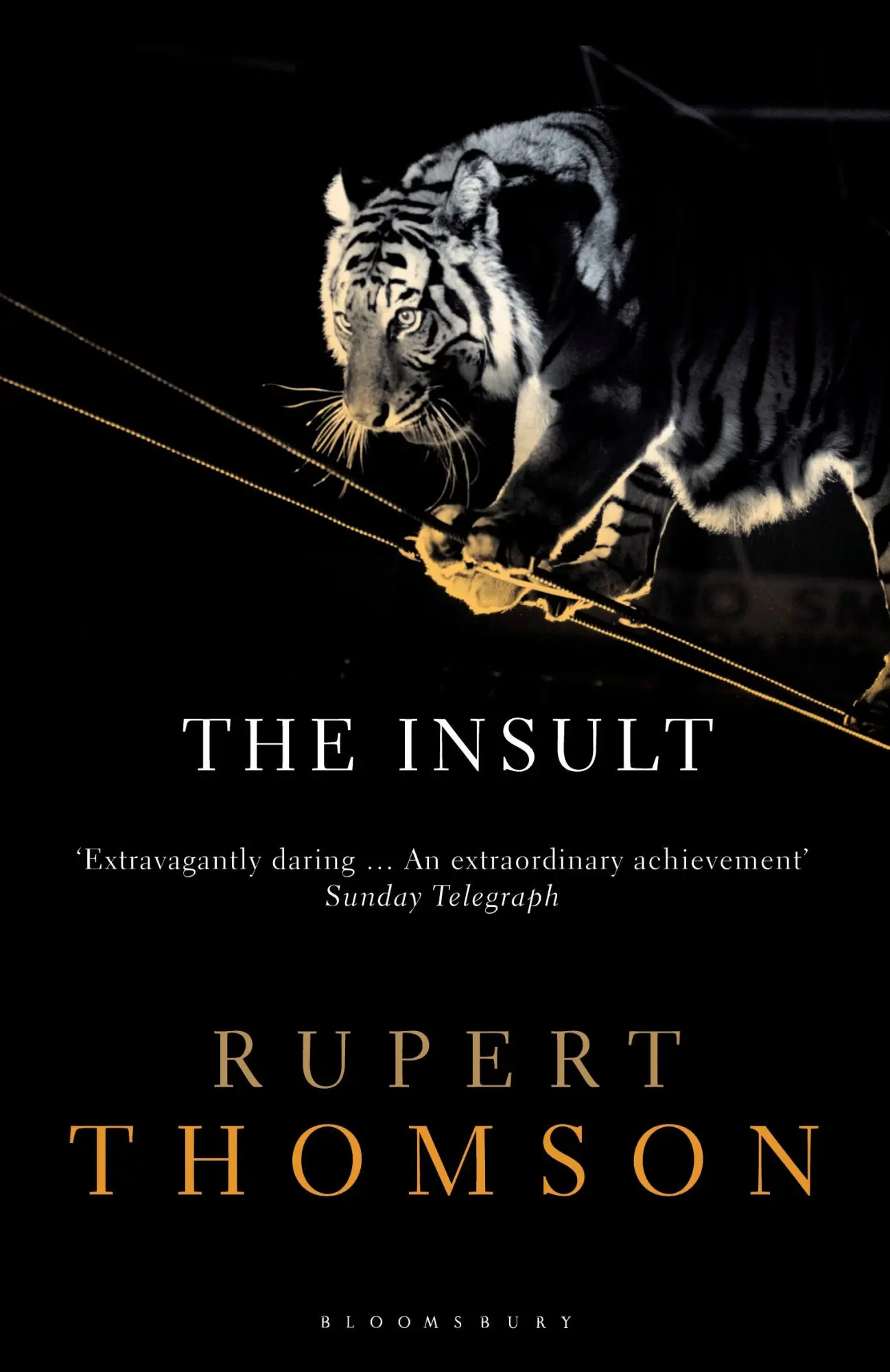 Cover: 9781408833186 | The Insult | Rupert Thomson | Taschenbuch | Kartoniert / Broschiert