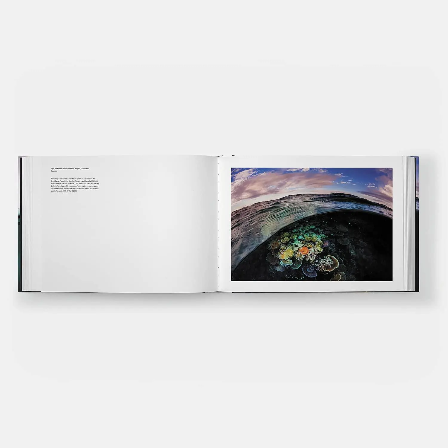 Bild: 9781838663186 | Two Worlds | Above and Below the Sea | David Doubilet | Buch | 128 S.