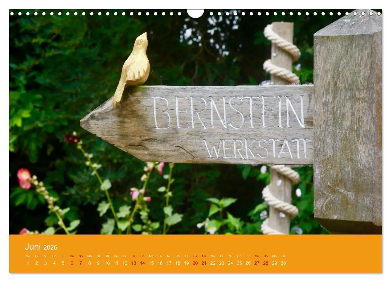 Bild: 9783457693186 | Hiddensee mon amour (Wandkalender 2026 DIN A3 quer), CALVENDO...