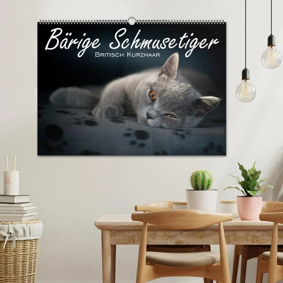 Bild: 9783516163186 | Bärige Schmusetiger - Britisch Kurzhaar (Wandkalender 2026 DIN A2...