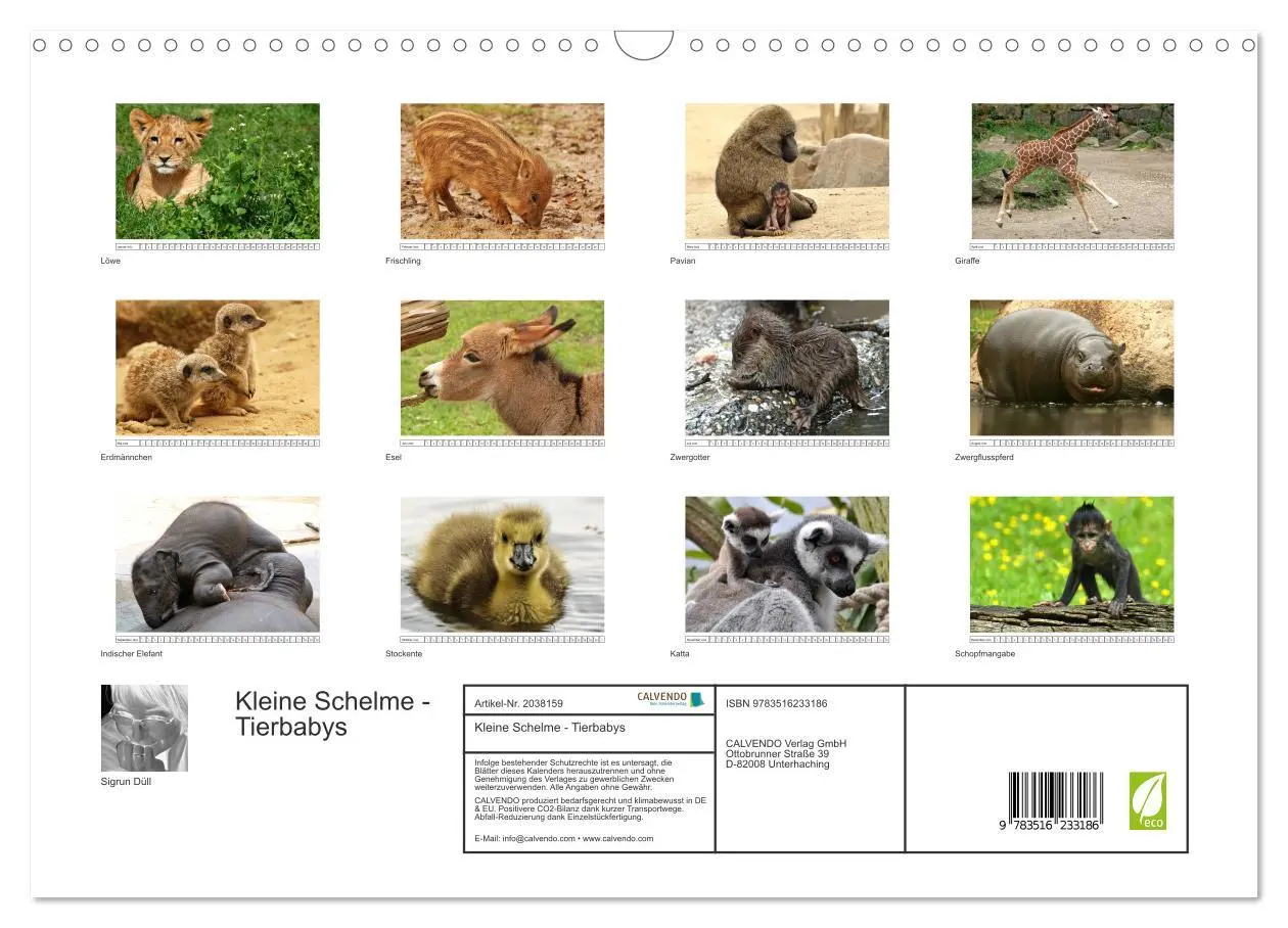 Bild: 9783516233186 | Kleine Schelme - Tierbabys (Wandkalender 2026 DIN A3 quer),...
