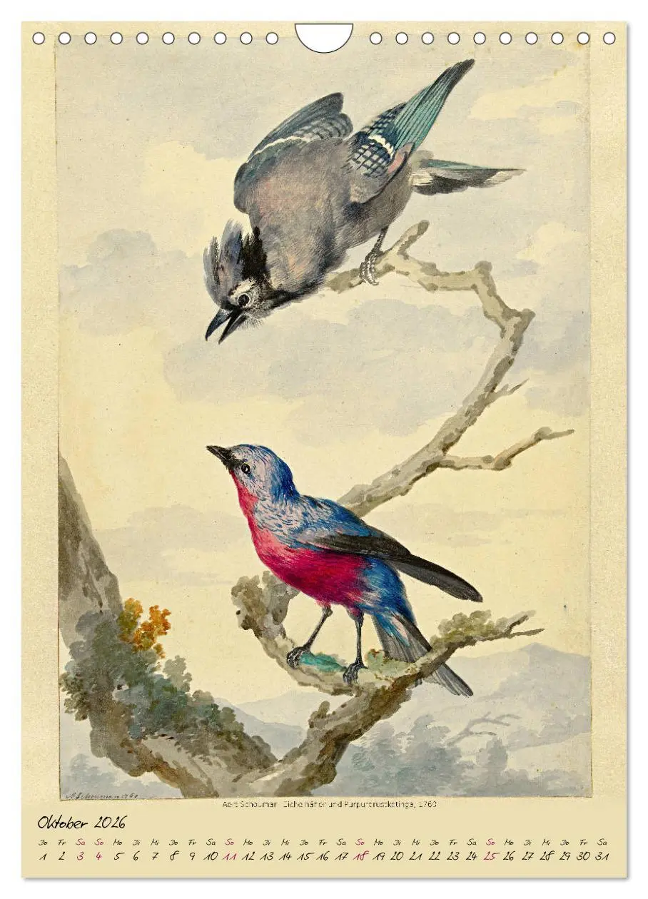 Bild: 9783516393286 | Aert Schouman. VÖGEL (Wandkalender 2026 DIN A4 hoch), CALVENDO...